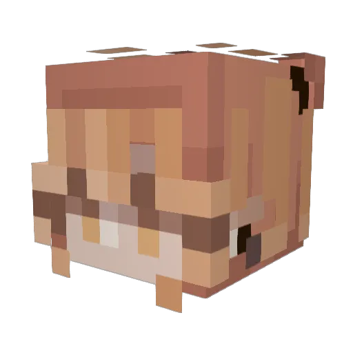 EldritchEndless Minecraft avatar head, 3D render