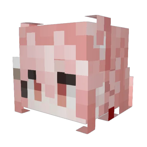 Eldritch_Lasagna Minecraft avatar head, 3D render