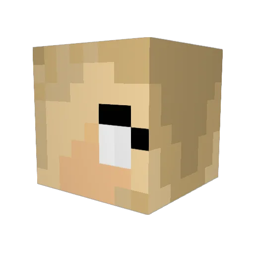 EleNic Minecraft avatar head, 3D render