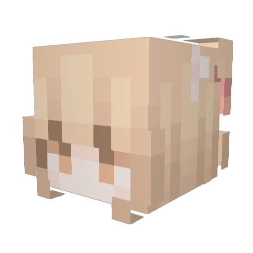 EleRox_ Minecraft avatar head, 3D render