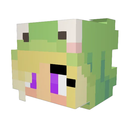 Eleanorm2w Minecraft avatar head, 3D render