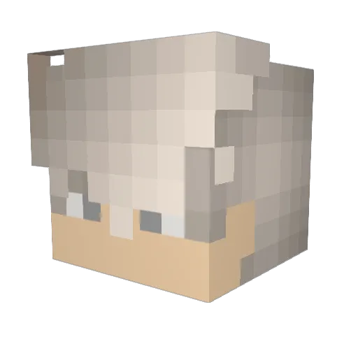 Elebuber1969 Minecraft avatar head, 3D render