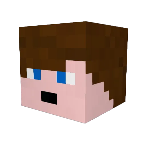 Elec11 Minecraft avatar head, 3D render