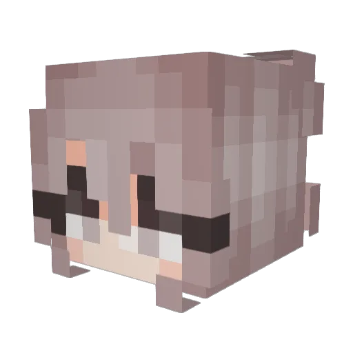 Electric_Skies Minecraft avatar head, 3D render