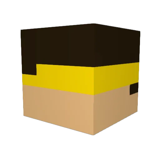 Electricalwire36 Minecraft avatar head, 3D render