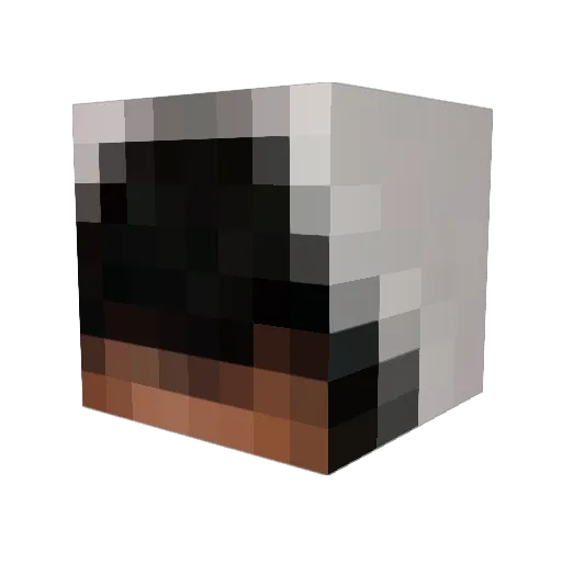Electro951 Minecraft avatar head, 3D render