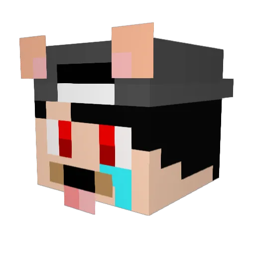 ElectroNTC Minecraft avatar head, 3D render