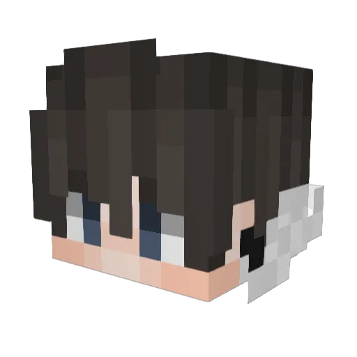 ElectroSX21 Minecraft avatar head, 3D render