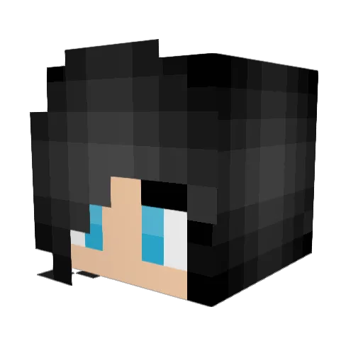 Electro_Swing Minecraft avatar head, 3D render
