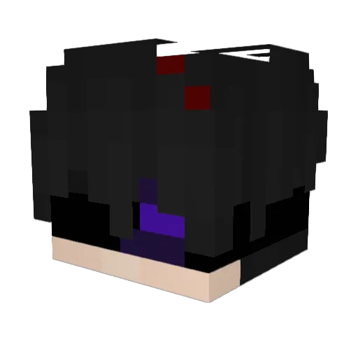 Electrogram1 Minecraft avatar head, 3D render
