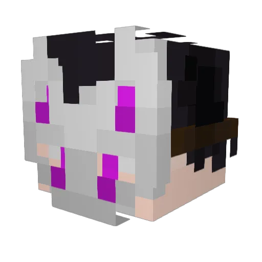 Electroid135 Minecraft avatar head, 3D render