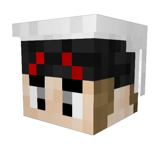 Electrolyte02 Minecraft avatar head, 3D render