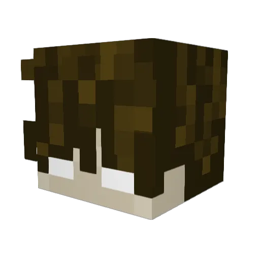 Electron45 Minecraft avatar head, 3D render