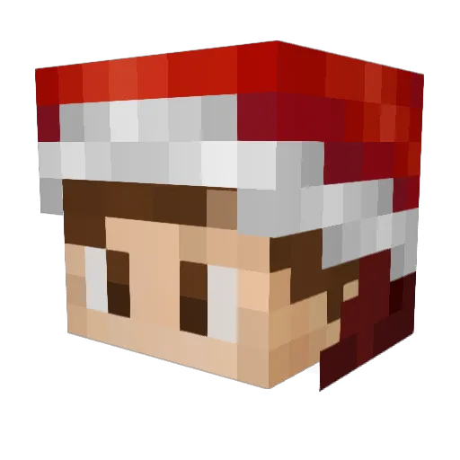 ElectronicWizard Minecraft avatar head, 3D render