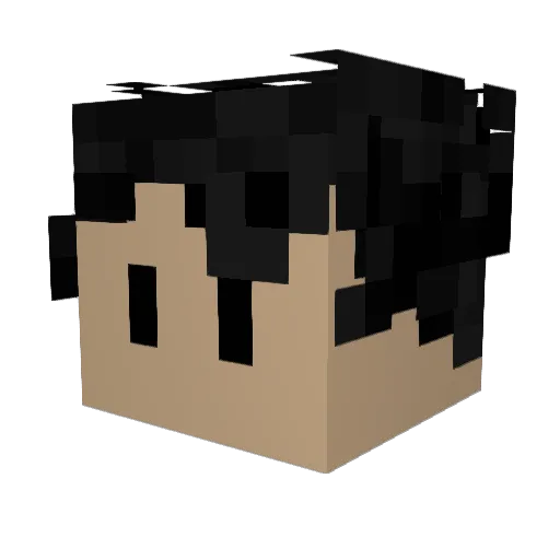 Electronk Minecraft avatar head, 3D render