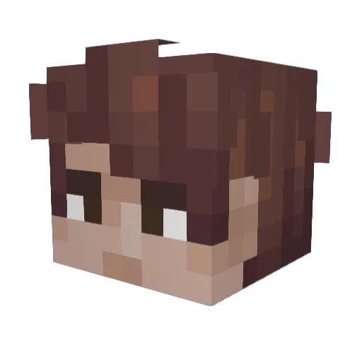 Electrowizard32 Minecraft avatar head, 3D render
