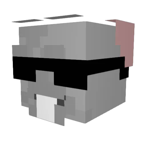 Elegamp1 Minecraft avatar head, 3D render