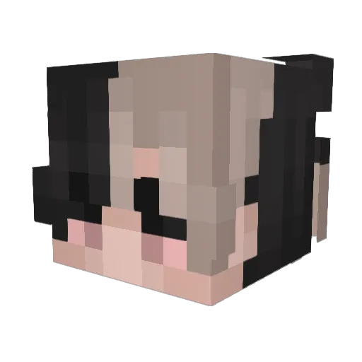 ElegantPoetry Minecraft avatar head, 3D render