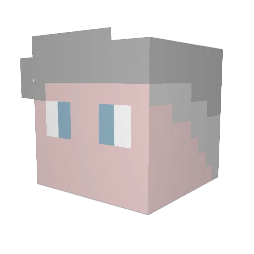 Eleganz11 Minecraft avatar head, 3D render