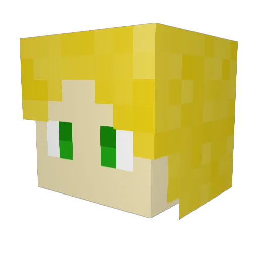 Elektro25 Minecraft avatar head, 3D render
