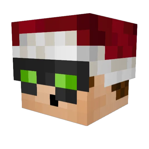 Elektrus00 Minecraft avatar head, 3D render