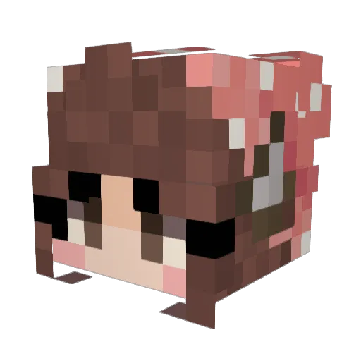 Elelith Minecraft avatar head, 3D render
