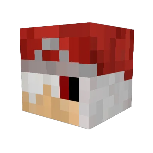 ElementaMaster Minecraft avatar head, 3D render