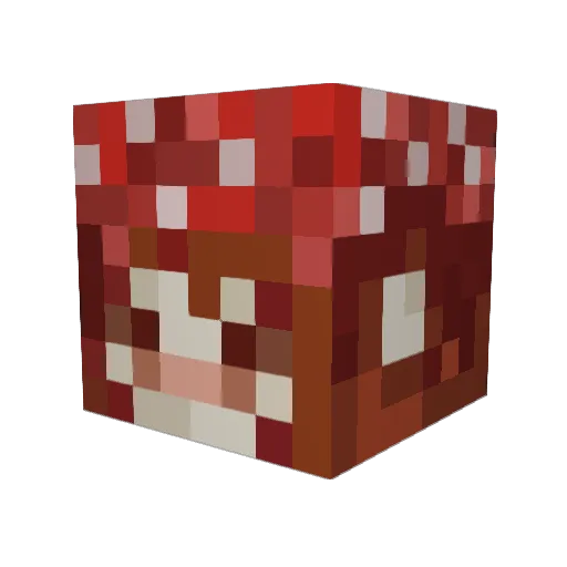 ElenLebonk2404 Minecraft avatar head, 3D render