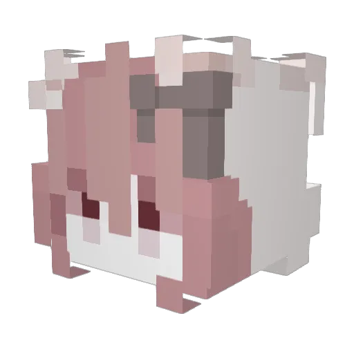 ElenSantos13 Minecraft avatar head, 3D render