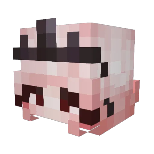 Elena_Tan Minecraft avatar head, 3D render