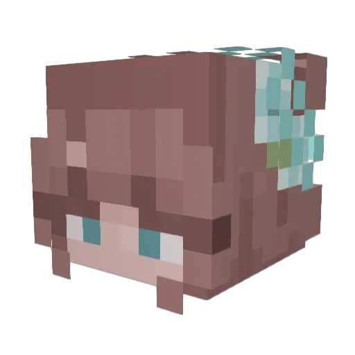 Elena__20 Minecraft avatar head, 3D render