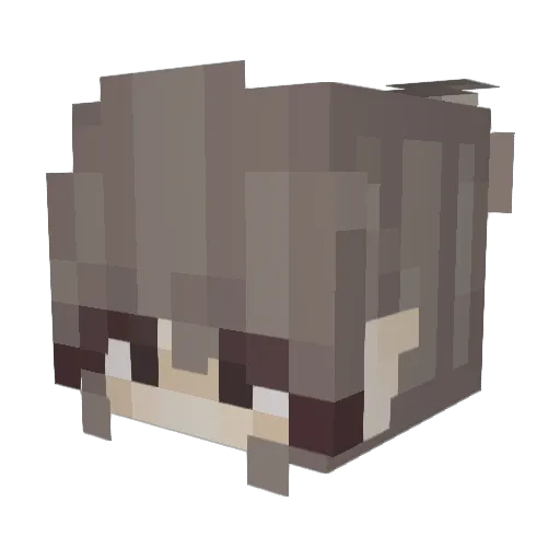 Elenaa18 Minecraft avatar head, 3D render