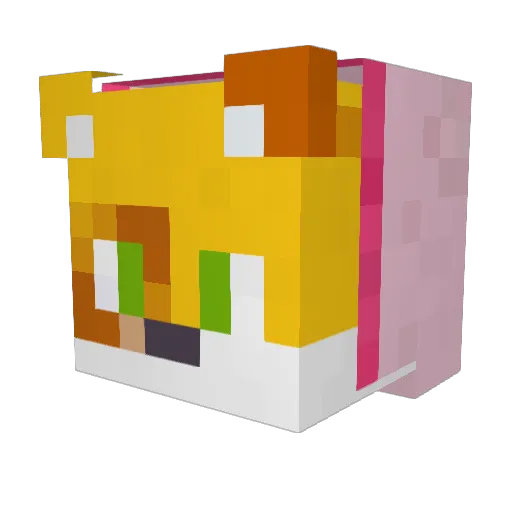 Elenarc Minecraft avatar head, 3D render