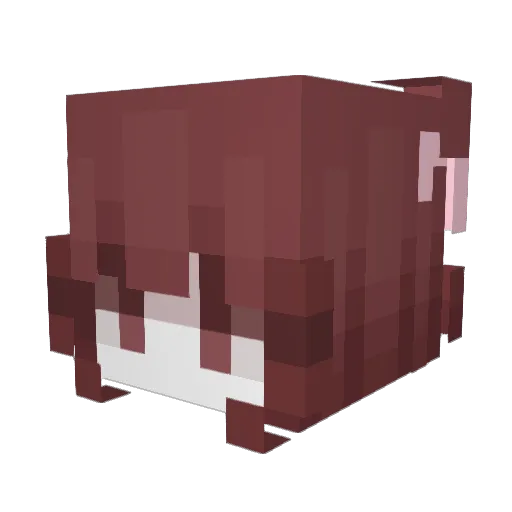 Elenix6 Minecraft avatar head, 3D render