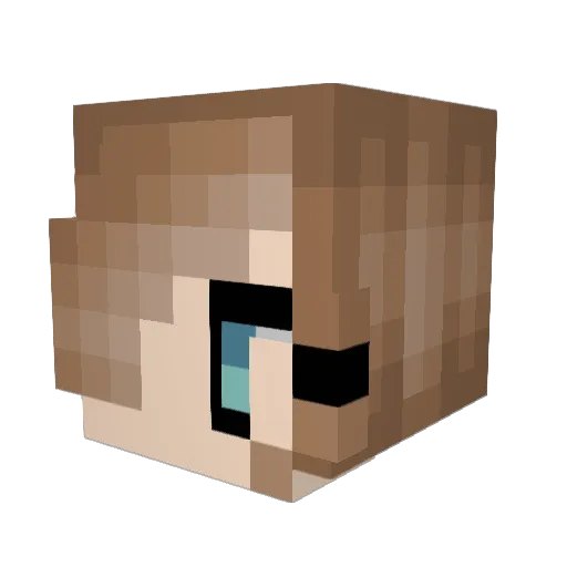 Elenor3011 Minecraft avatar head, 3D render