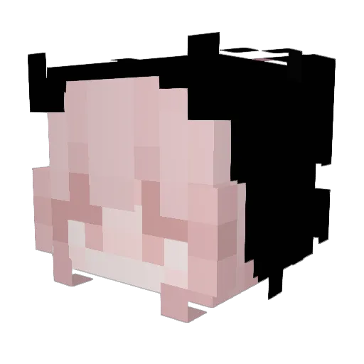Eleo_ Minecraft avatar head, 3D render