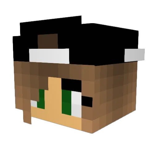 ElephantAlly16 Minecraft avatar head, 3D render