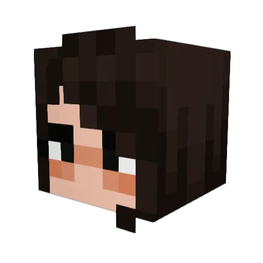 Elephant_Fajita Minecraft avatar head, 3D render