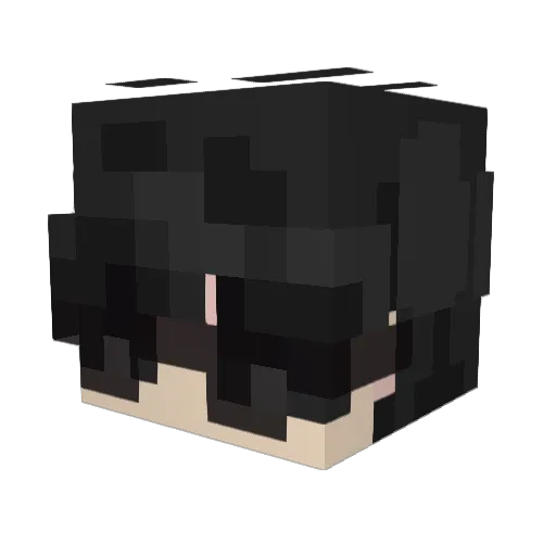 Eleqtr0 Minecraft avatar head, 3D render