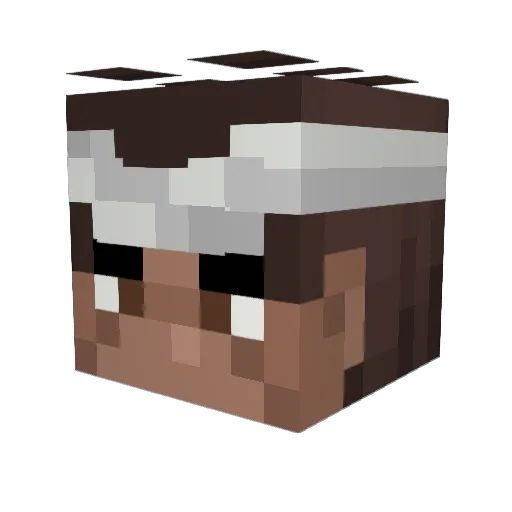 ElerZzZ Minecraft avatar head, 3D render