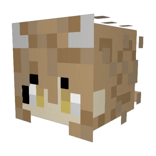 Elestial8888 Minecraft avatar head, 3D render