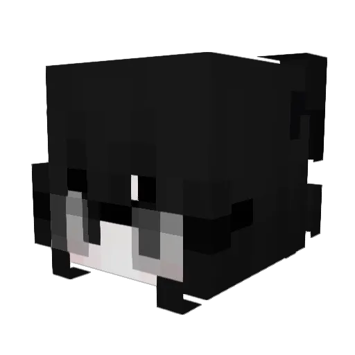 EletheHamster Minecraft avatar head, 3D render