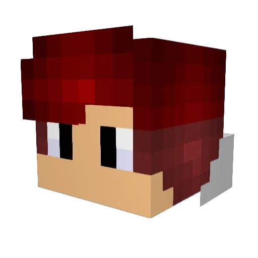 EletryPlayer_ Minecraft avatar head, 3D render