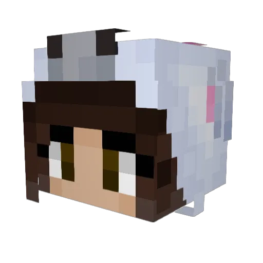 Eleven1090 Minecraft avatar head, 3D render