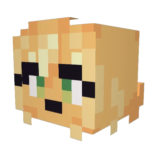 ElevenStorms Minecraft avatar head, 3D render