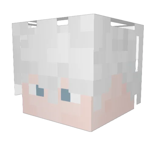 Eleven_426s Minecraft avatar head, 3D render