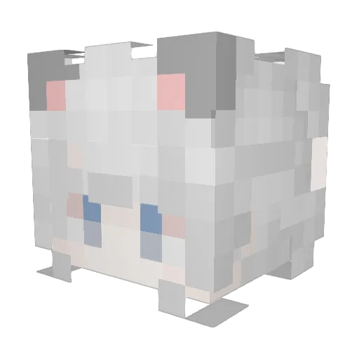 Eleven_HM Minecraft avatar head, 3D render