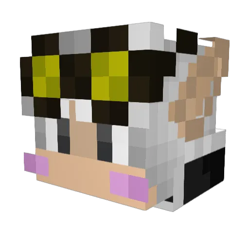 Elf_GastarbeIter Minecraft avatar head, 3D render