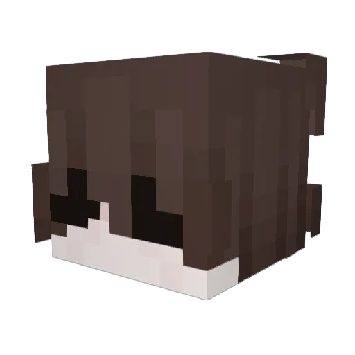 Elfcool Minecraft avatar head, 3D render