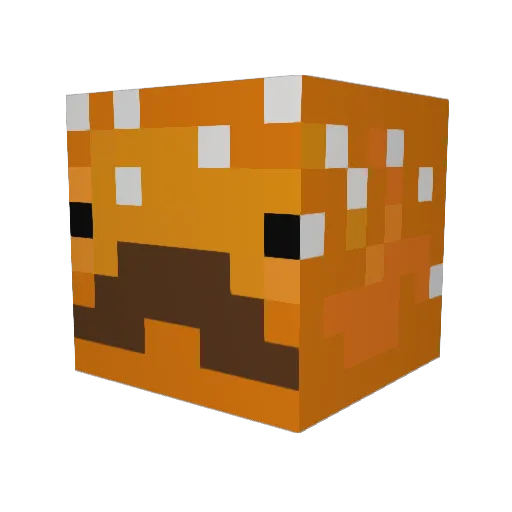 ElfishCabbage29 Minecraft avatar head, 3D render